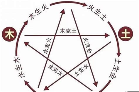 木火金水|八字五行论命，“金水”旺和“木火”旺到底有何不同？